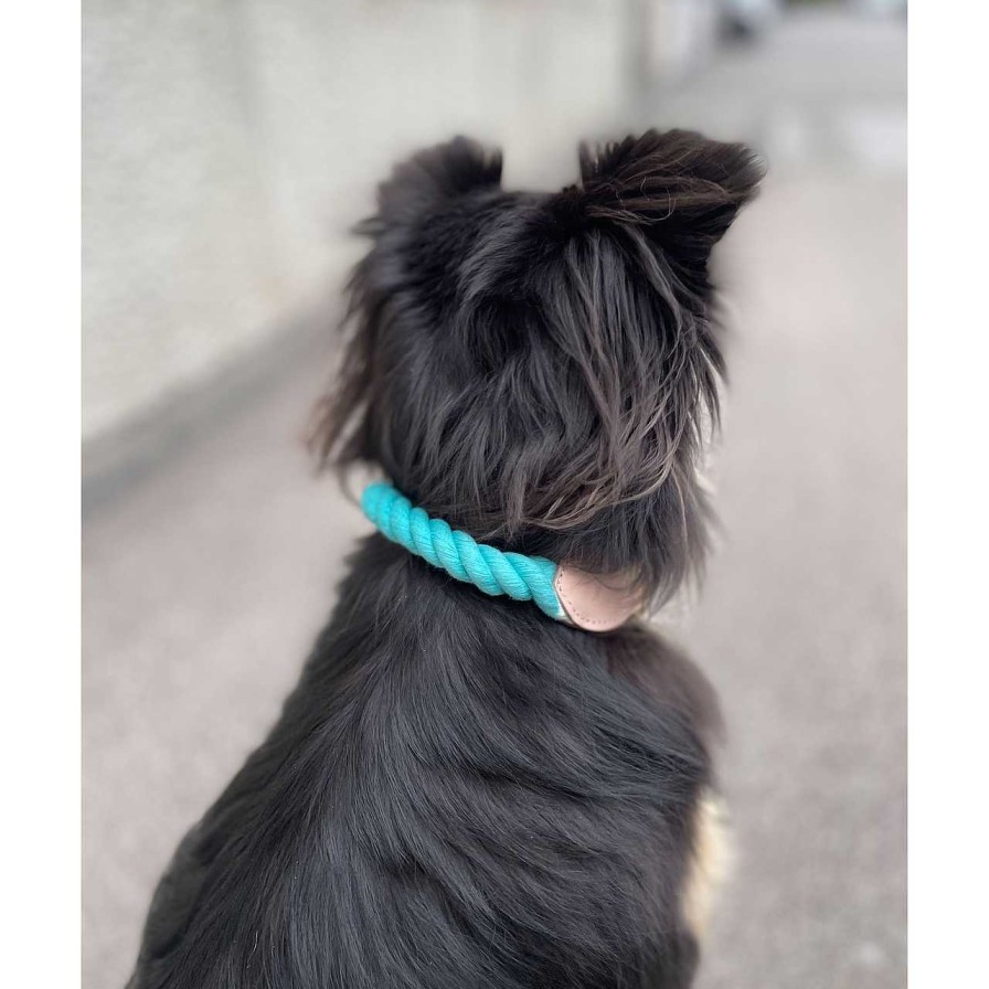 Accessories La Garçonne Accessoires | Goofy Dog Collar Turquoise