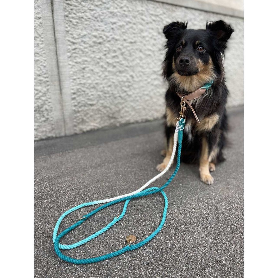 Accessories La Garçonne Accessoires | Goofy Dog Leash Turquoise